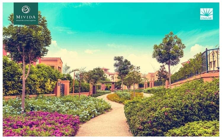 ميفيدا التجمع الخامس