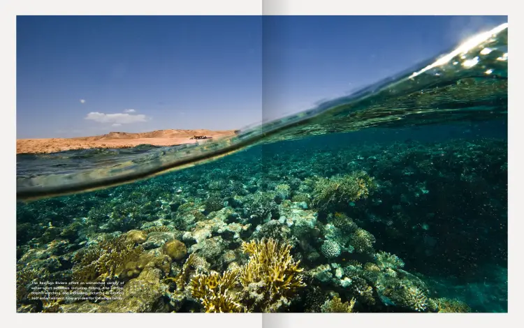 صورة للشعب المرجانية على سواحل قرية المونت جلالة العين السخنة