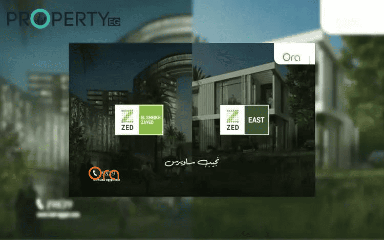 زيد التجمع ولا زيد الشيخ زايد؟! 1 زيد التجمع ولا زيد الشيخ زايد؟!