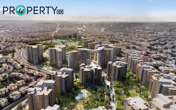 زيد التجمع ولا زيد الشيخ زايد؟!