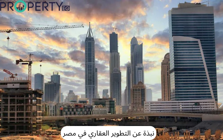 التطوير العقاري في مصر