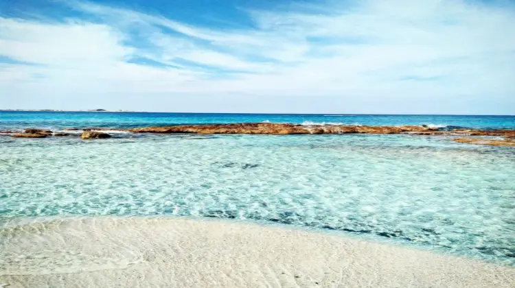 s bay سيدي حنسش 