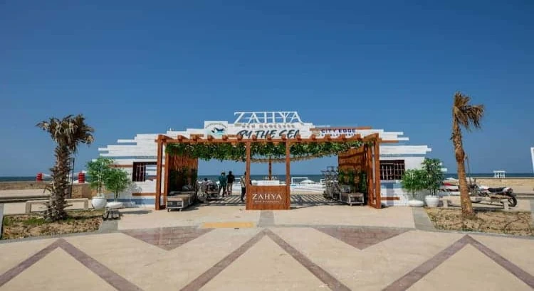 زاهية المنصورة الجديدة