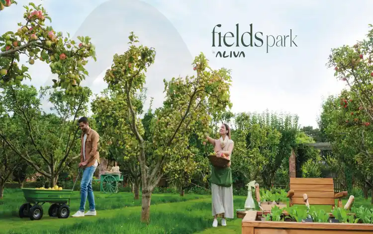 مرحلة Field Park كمبوند اليفا