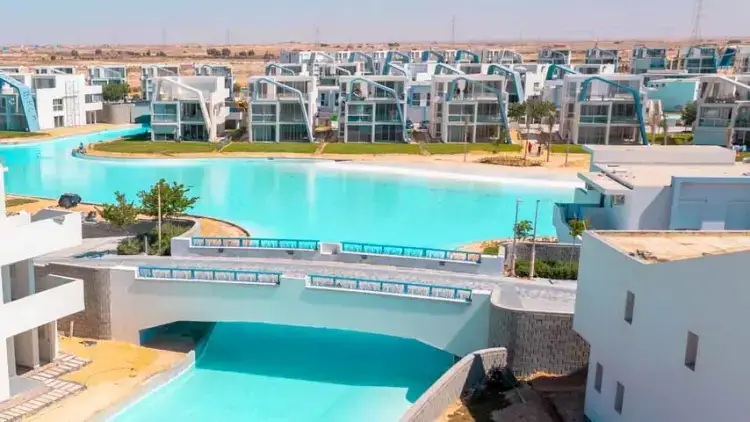 فوكا باي راس الحكمة