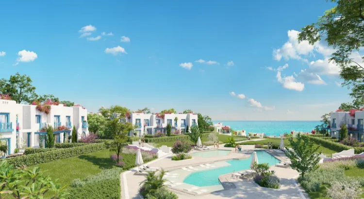 سكالا ماونتن فيو ماونتن فيو الساحل