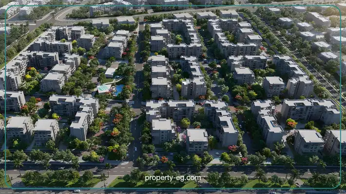 بادية بالم هيلز اكتوبر