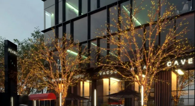 Mall Premium Business مشروع بريميم بيزنس سنتر القاهرة الجديدة