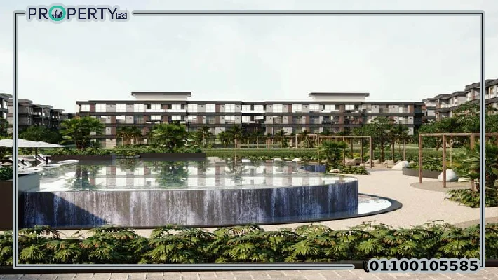 ديجويا نيو زايد دي جويا الشيخ زايد