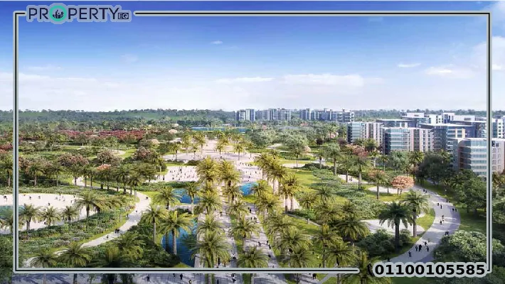 zed الشيخ زايد zed sheikh zayed tower