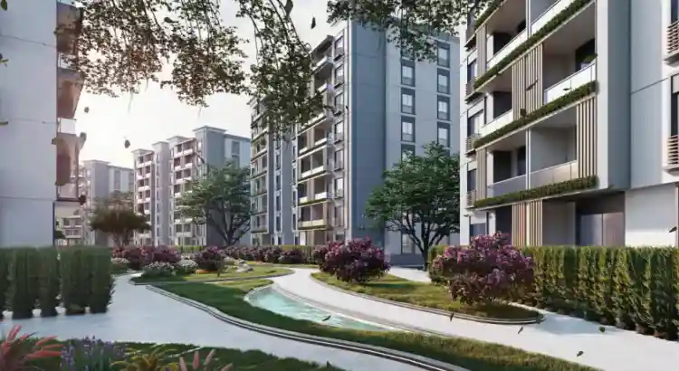 كمبوند أورو 