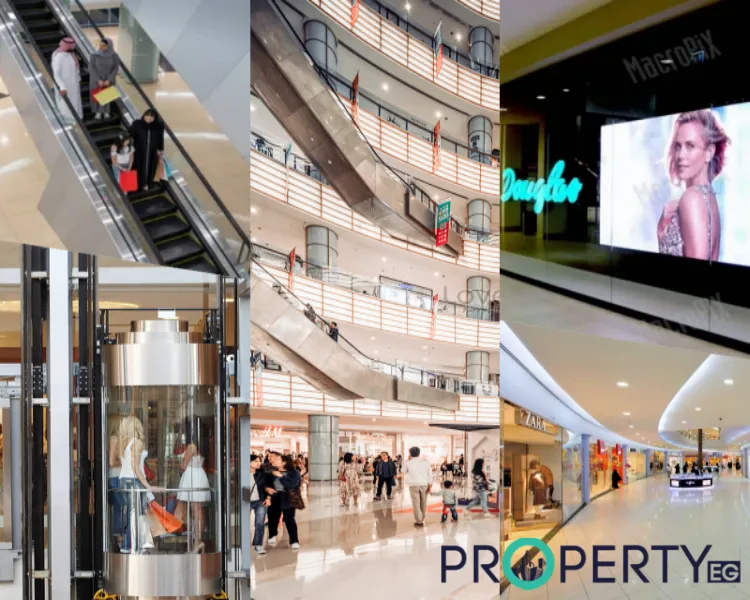 مول ذا فايب التجمع الخامس