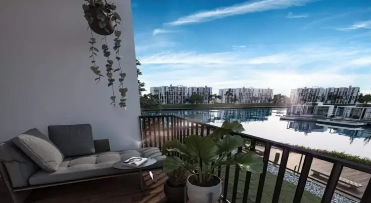 زهرة الساحل الشمالي 