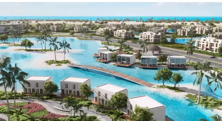 زهرة الساحل الشمالي