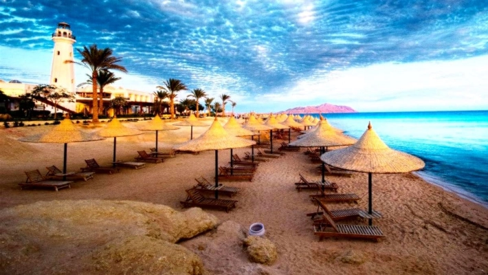 سيكويا الساحل الشمالى Sequoia North Coast