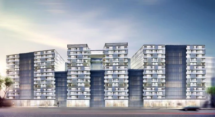 مشروع قطامية جيت