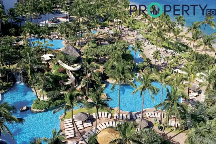 فيدالا جلالة فيدالا جلالة