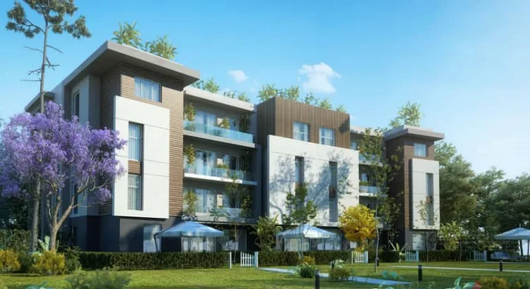 اكاسا ميا اكاسا ميا القاهرة الجديدة