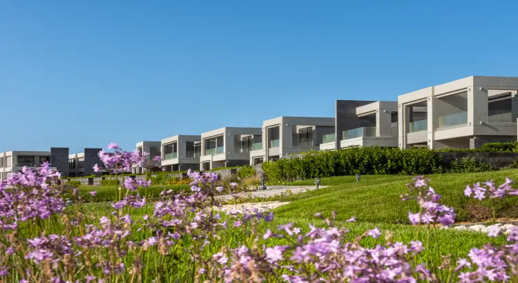 قرية لافيستا راس الحكمة لافيستا راس الحكمة