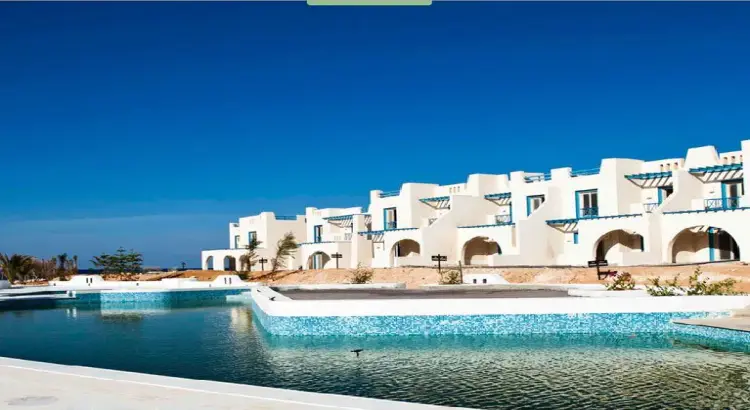 ماونتن فيو راس الحكمة