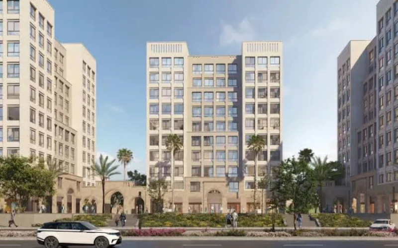 Compound 205 Zayed Compound 205 Sheikh Zayed