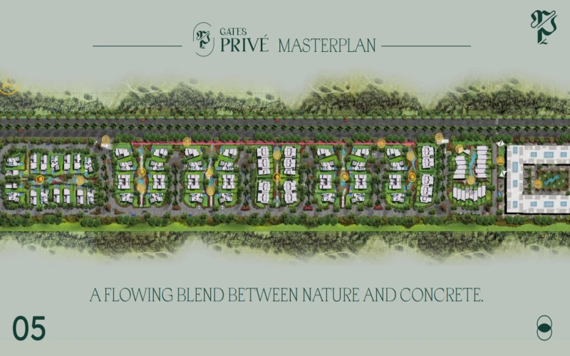 Prive Sheikh Zayed Prive Zayed master plan